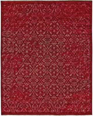 Feizy Tesoro Ii 7206F Rouge Area Rug main image