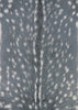 Couristan Dolce Hyena Denim-silver Area Rug main image