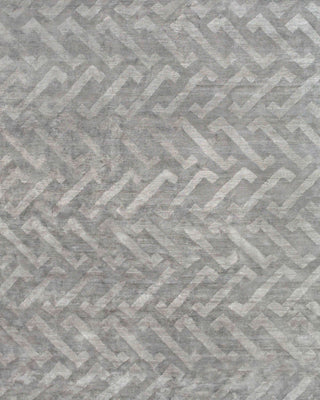 Feizy Noor 7203F Taupe Area Rug main image
