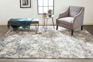 Feizy Sorel 3299F Gray/Beige Area Rug