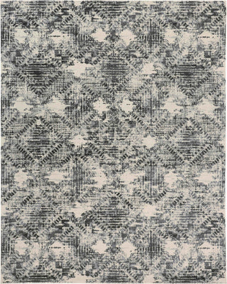 Feizy Sorel 3299F Gray/Beige Area Rug