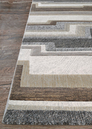 Couristan Easton Radiate Earthtones Area Rug Corner Image