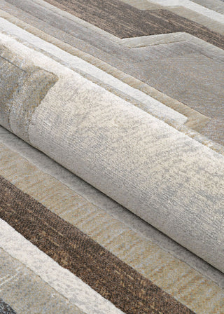 Couristan Easton Radiate Earthtones Area Rug Detail Image