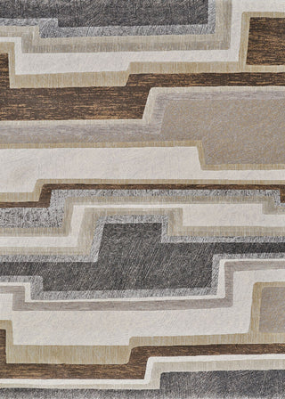 Couristan Easton Radiate Earthtones Area Rug main image