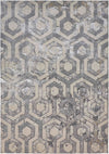Feizy Micah 3046F Beige/Gray Area Rug