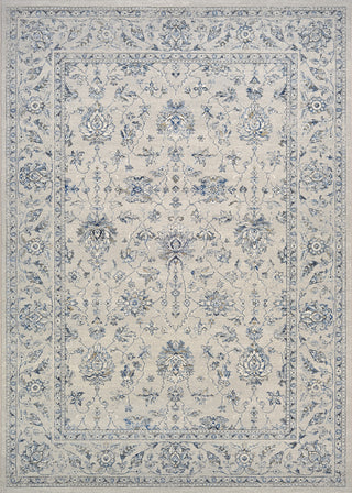 Couristan Sultan Treasures All Over Mashhad Grey Area Rug main image