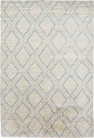 Feizy Abytha 6458F Ice Area Rug