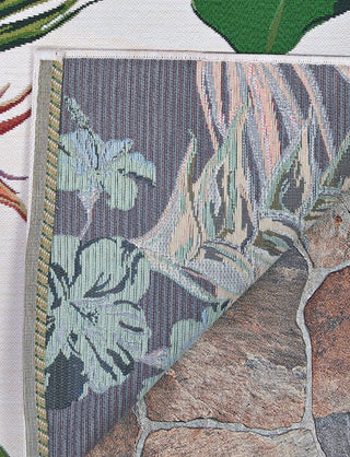 Couristan Dolce Toucans Ivory Area Rug Main