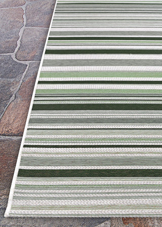 Couristan Dolce Striped Grass Area Rug Corner Image