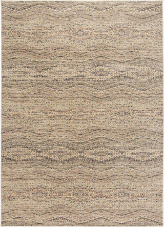 Feizy Grayson 3576F Beige/Multi Area Rug