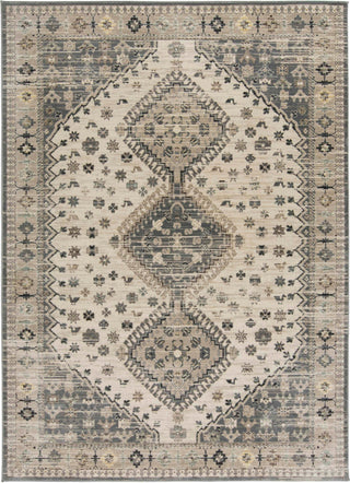 Feizy Grayson 3577F Beige/Gray Area Rug