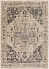 Feizy Grayson 3579F Charcoal/Beige Area Rug