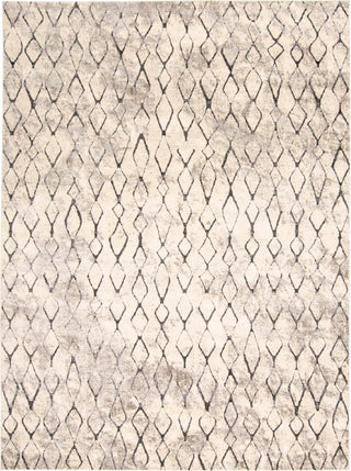 Feizy Kano 3872F Ivory/Gray Area Rug