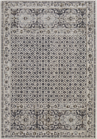 Feizy Kano 3874F Ivory/Gray Area Rug