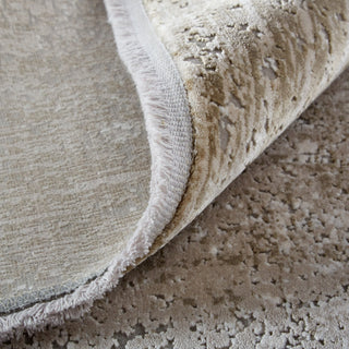 Feizy Cadiz 39FWF Beige/Gray Area Rug