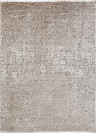 Feizy Cadiz 39FWF Beige/Gray Area Rug