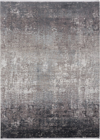 Feizy Cadiz 39FWF Charcoal/Black Area Rug