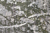 Feizy Cadiz 39N6F Gray/Green/Taupe Area Rug