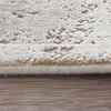 Feizy Cadiz 39SZF Ivory/Gray/Gold Area Rug Edge