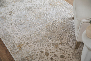 Feizy Cadiz 39T0F Ivory/Gray/Gold Area Rug Lifestyle Image 2