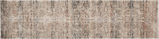 Feizy Caprio 3958F Ivory/Gray Area Rug