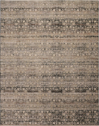 Feizy Caprio 3961F Gray/Tan Area Rug