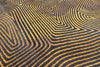 Louis De Poortere Meditation Coral 9227 Black Gold Area Rug Detail Image
