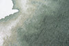 Louis De Poortere Meditation Lagoon 9331 Palm Green Area Rug Detail Image