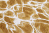 Louis De Poortere Meditation Swim 9349 Saffron Area Rug Detail Image