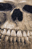 Louis De Poortere Pop Momento Mori 9391 Funny Bones Area Rug Detail Image