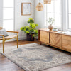 Livabliss Aida AAD-2300 Taupe Area Rug Room Scene Feature