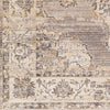 Livabliss Aida AAD-2301 Taupe Area Rug Swatch