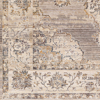 Livabliss Aida AAD-2301 Taupe Area Rug Swatch