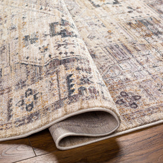 Livabliss Aida AAD-2307 Area Rug Pile