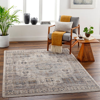 Livabliss Aida AAD-2307 Area Rug Room Scene Feature