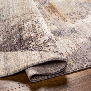 Livabliss Aida AAD-2308 Area Rug Pile