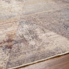 Livabliss Aida AAD-2308 Area Rug Detail