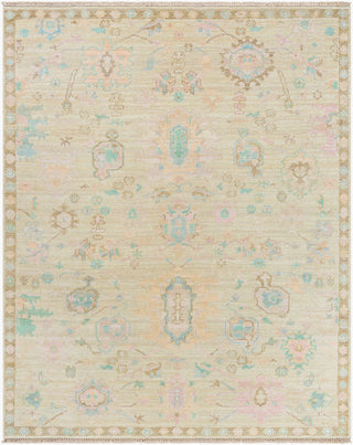 Surya Antalya AAT-2307 Area Rug Main