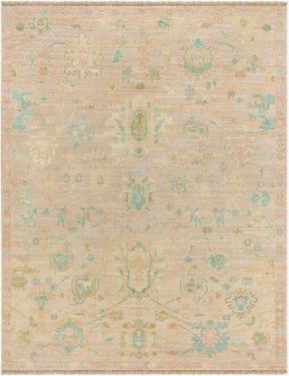 Surya Antalya AAT-2308 Area Rug Main