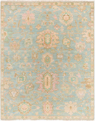 Surya Antalya AAT-2310 Area Rug Main