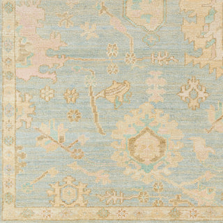 Surya Antalya AAT-2310 Area Rug Swatch