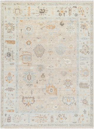 Surya Antalya AAT-2314 Area Rug Main