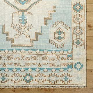 Surya Anadolu AAU-2300 Area Rug Detail