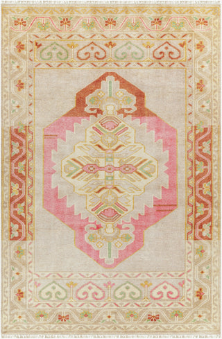 Surya Anadolu AAU-2302 Area Rug main image