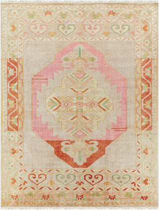 Surya Anadolu AAU-2302 Area Rug Main