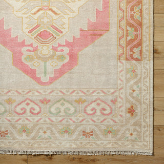 Surya Anadolu AAU-2302 Area Rug Detail