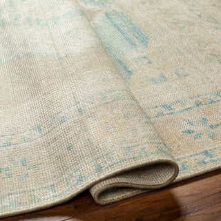 Surya Anadolu AAU-2303 Area Rug Pile