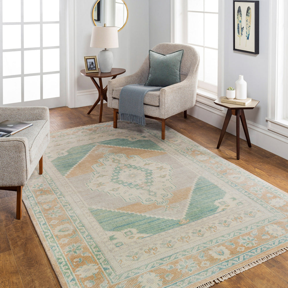 Surya Anadolu AAU-2303 Area Rug Room Scene Feature
