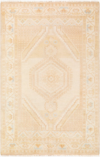 Surya Anadolu AAU-2305 Area Rug main image