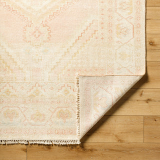 Surya Anadolu AAU-2305 Area Rug Pile